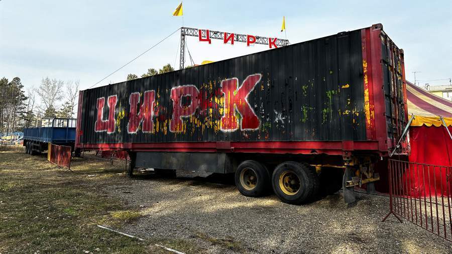 Трагедия и происки конкурентов? Трехлетний ребенок госпитализирован после нападения пантеры в цирке в Ангарске