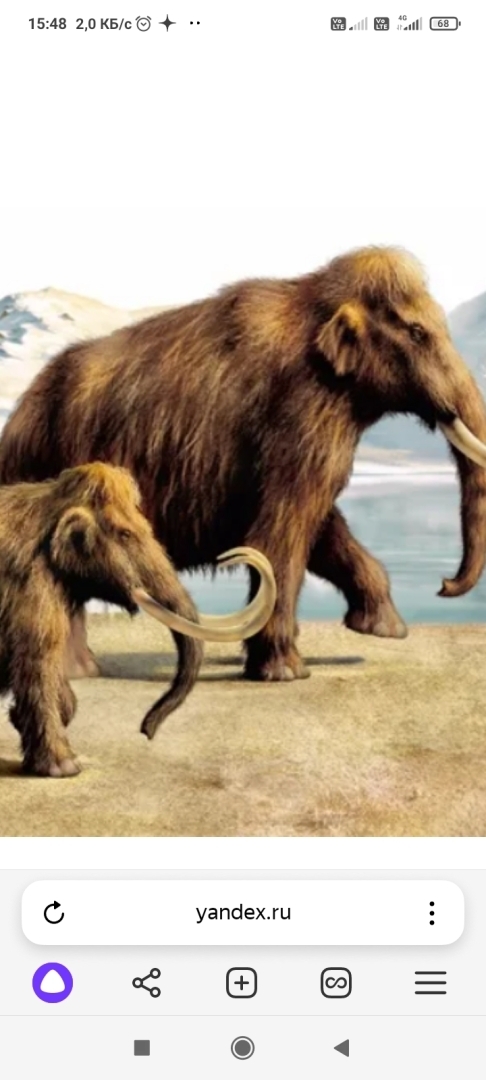 "Вымираем как мамонты": почему смертность в разы превышает рождаемость