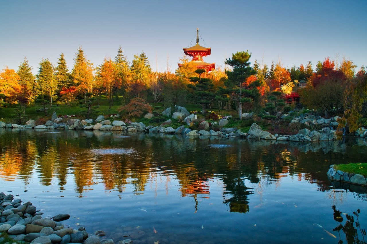 Японский сад в парке Краснодара: Необычный антураж и буйство красок!