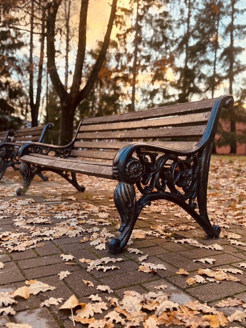 Прогулка по прекрасному Соляному саду в Череповце, Вологодская область