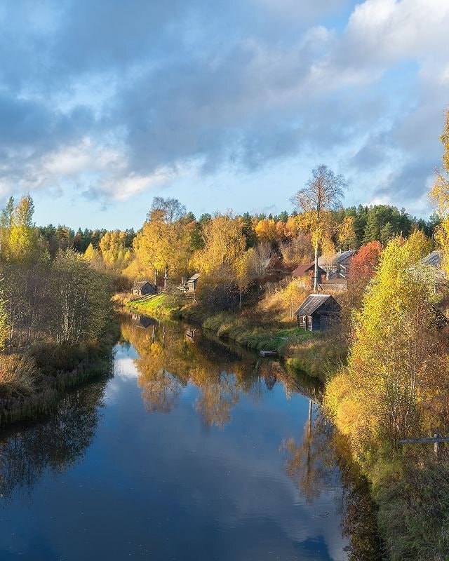 Реку Оять вы встретите, куда бы не пошли в Вепсском лесу!