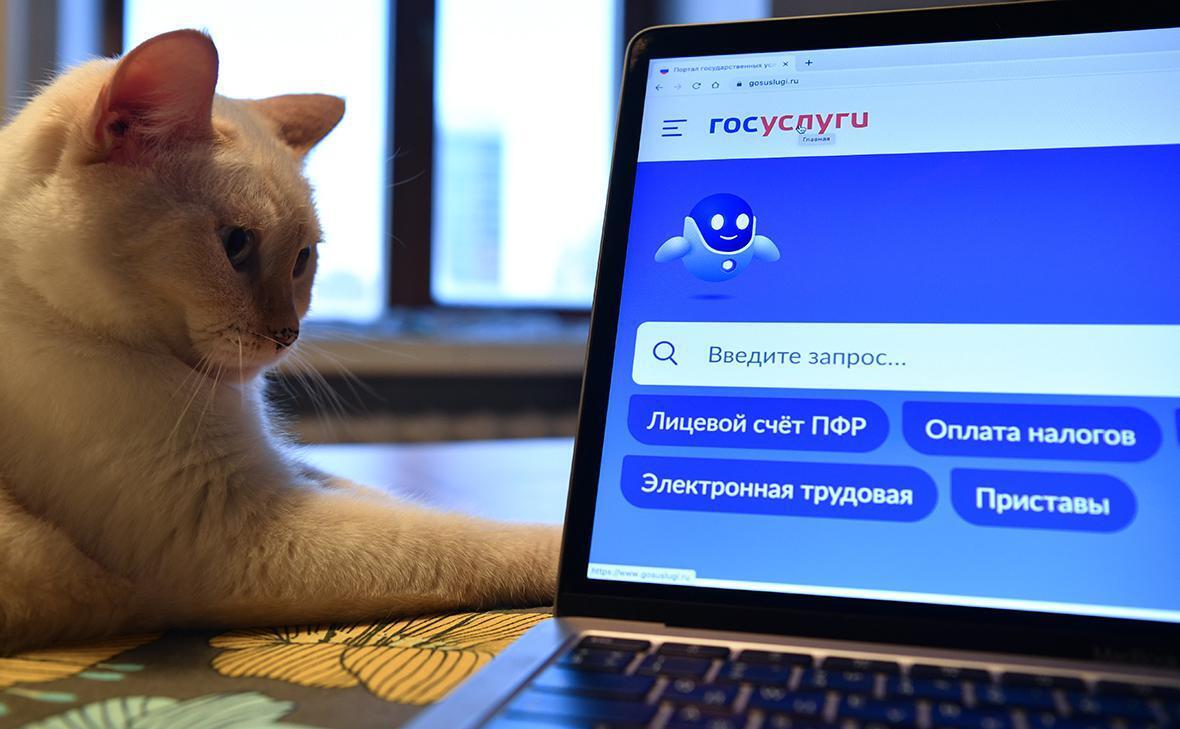 8 выписок и справок, которые можно получить от государства бесплатно, моментально и не выходя из дома