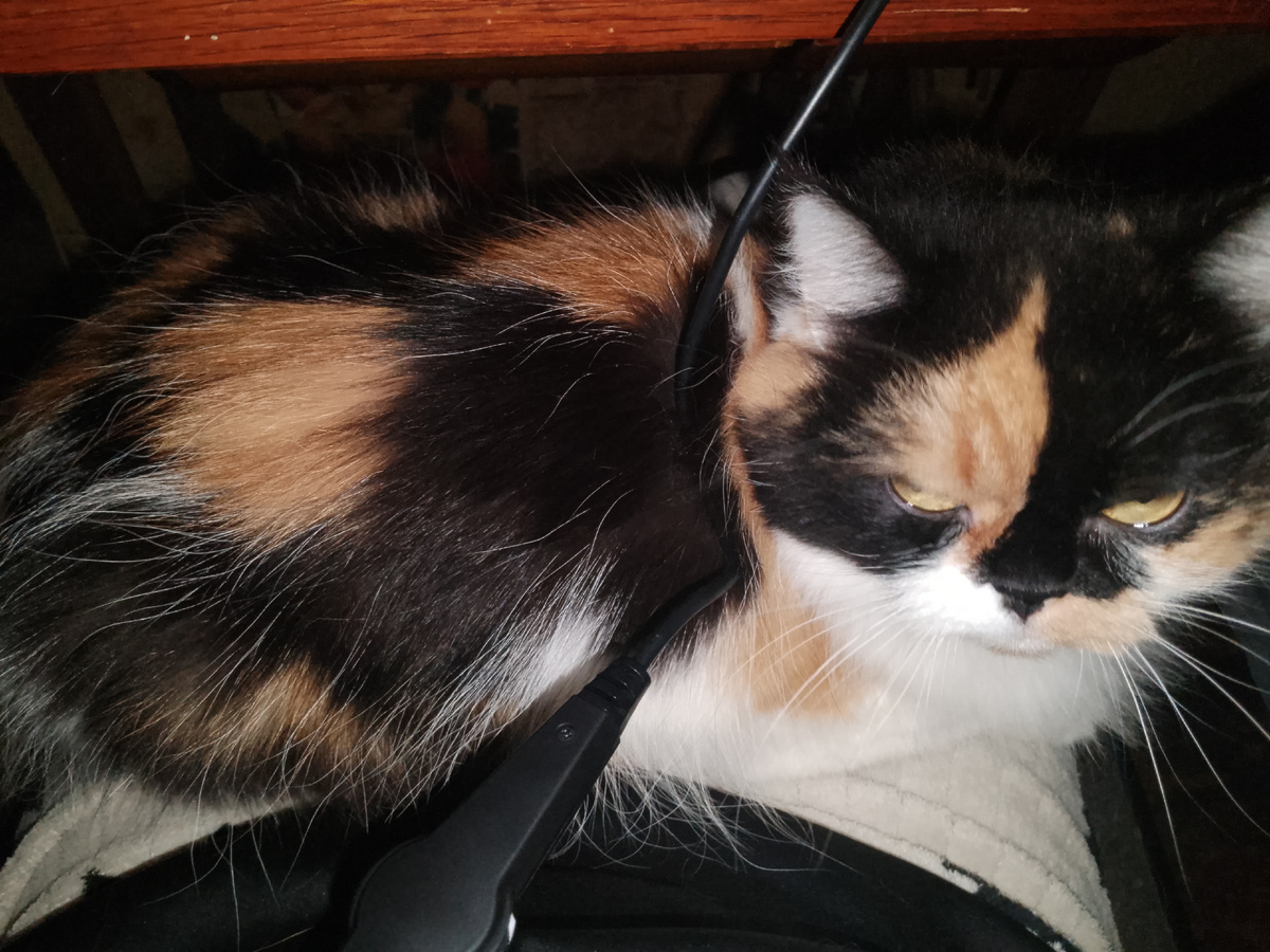 Первая неделя стажировки в МТС: Эмоции, вызовы и успехи на линии с клиентами.