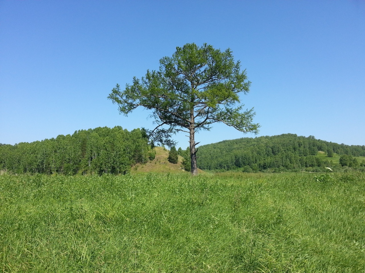 День в истории России. 22 ноября 1906 года началась аграрная реформа П.А. Столыпина. Какой бы сейчас была Россия, если реформа была доведена до конца?