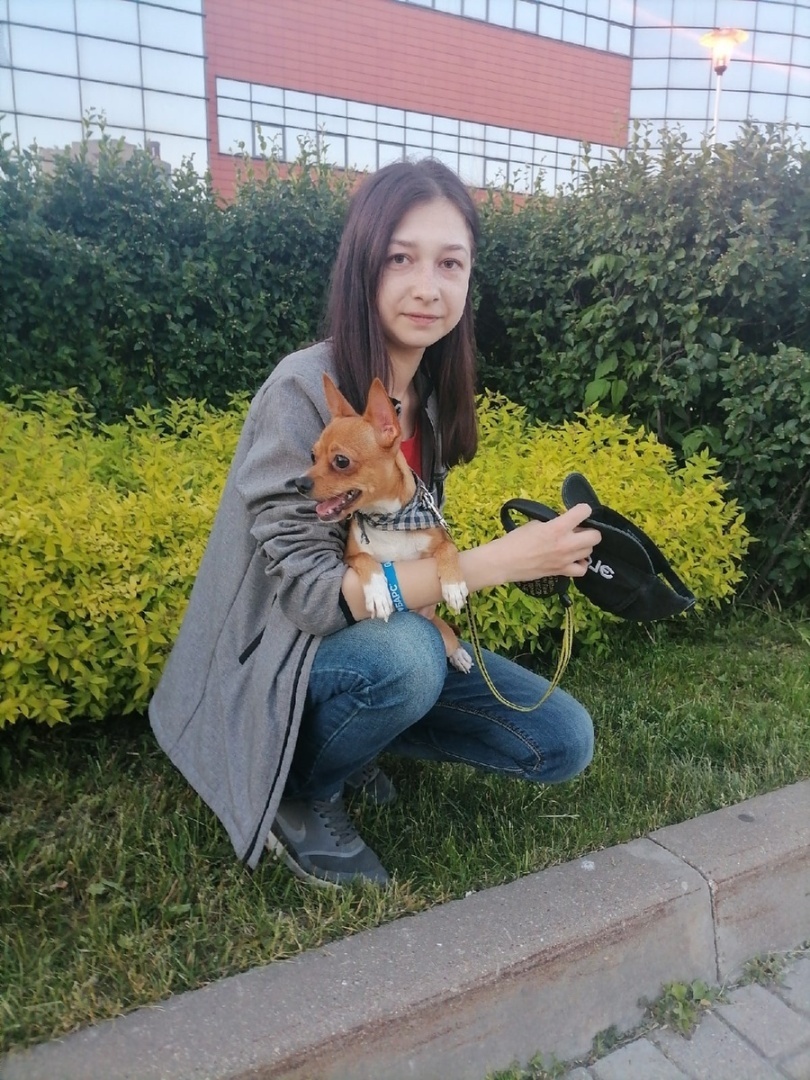 Возвращение к нормальной жизни: проблемы в Дзене, новые доходы и обучение в МТС