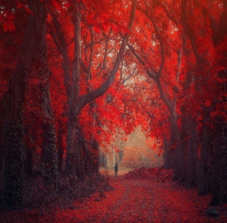 Крысолов "Глава девятнадцатая"