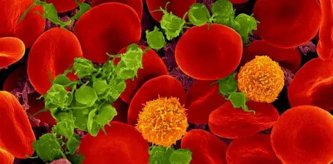 О чем говорит результат анализа крови.