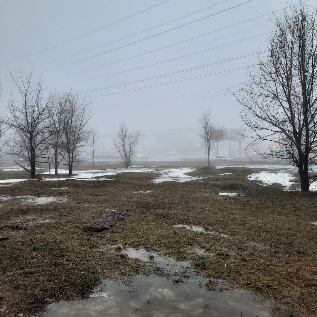 Работа общественного транспорта в моем родном городе.