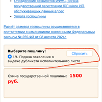 IMG_7252.jpeg