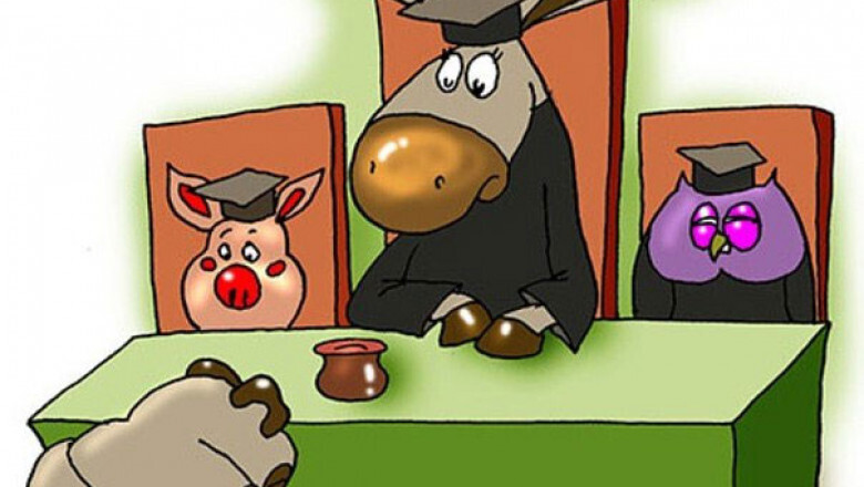 У судей новые шутки