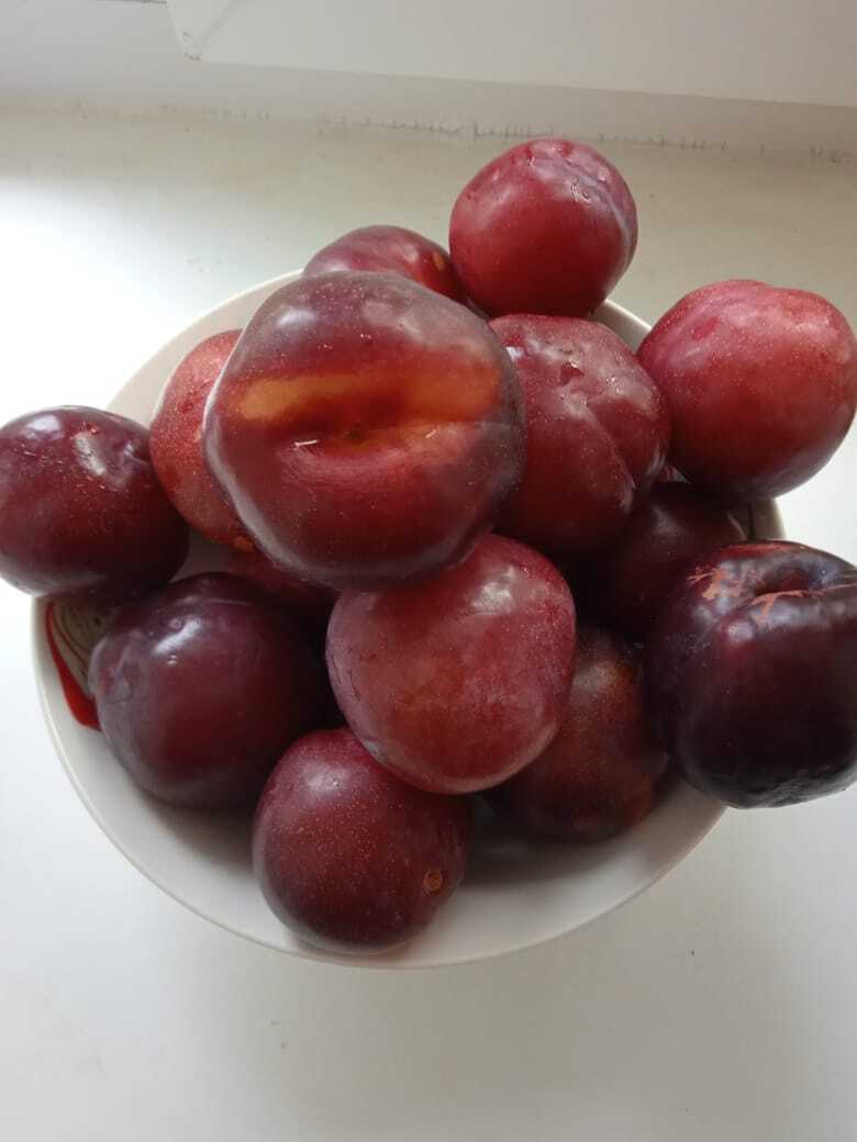 Шарафуга - интересный гибрид сливы, абрикоса и персика