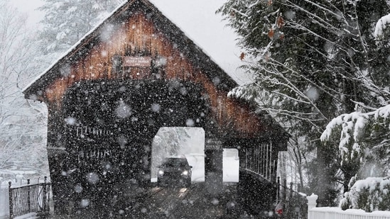 Снежные бури обрушились на США в преддверии праздничного ажиотажа. Ожидается ухудшение заморозков