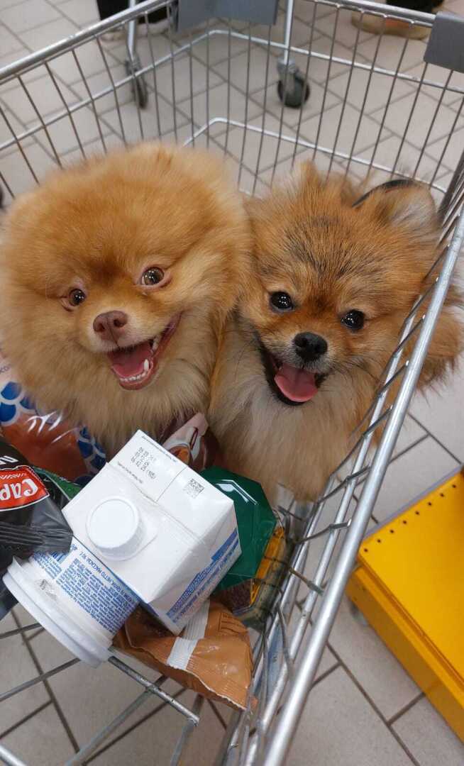 А Вам кто больше понравился ?