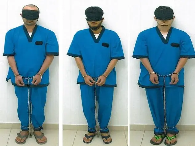 ОАЭ против террора: Уроки для России.