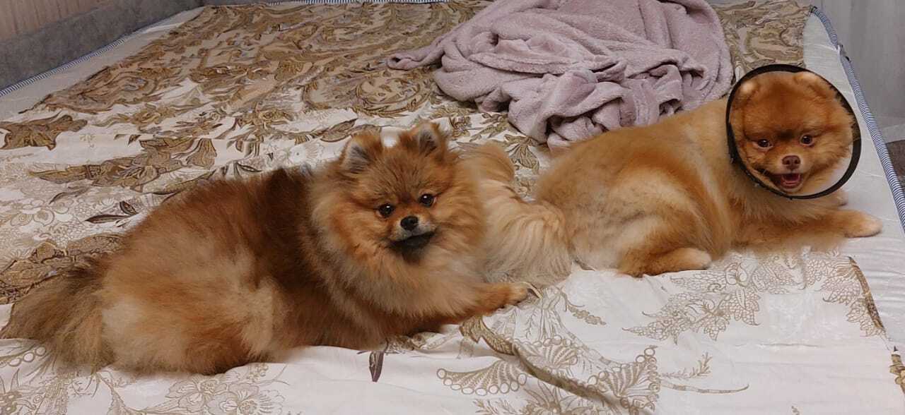 А Вам кто больше понравился ?