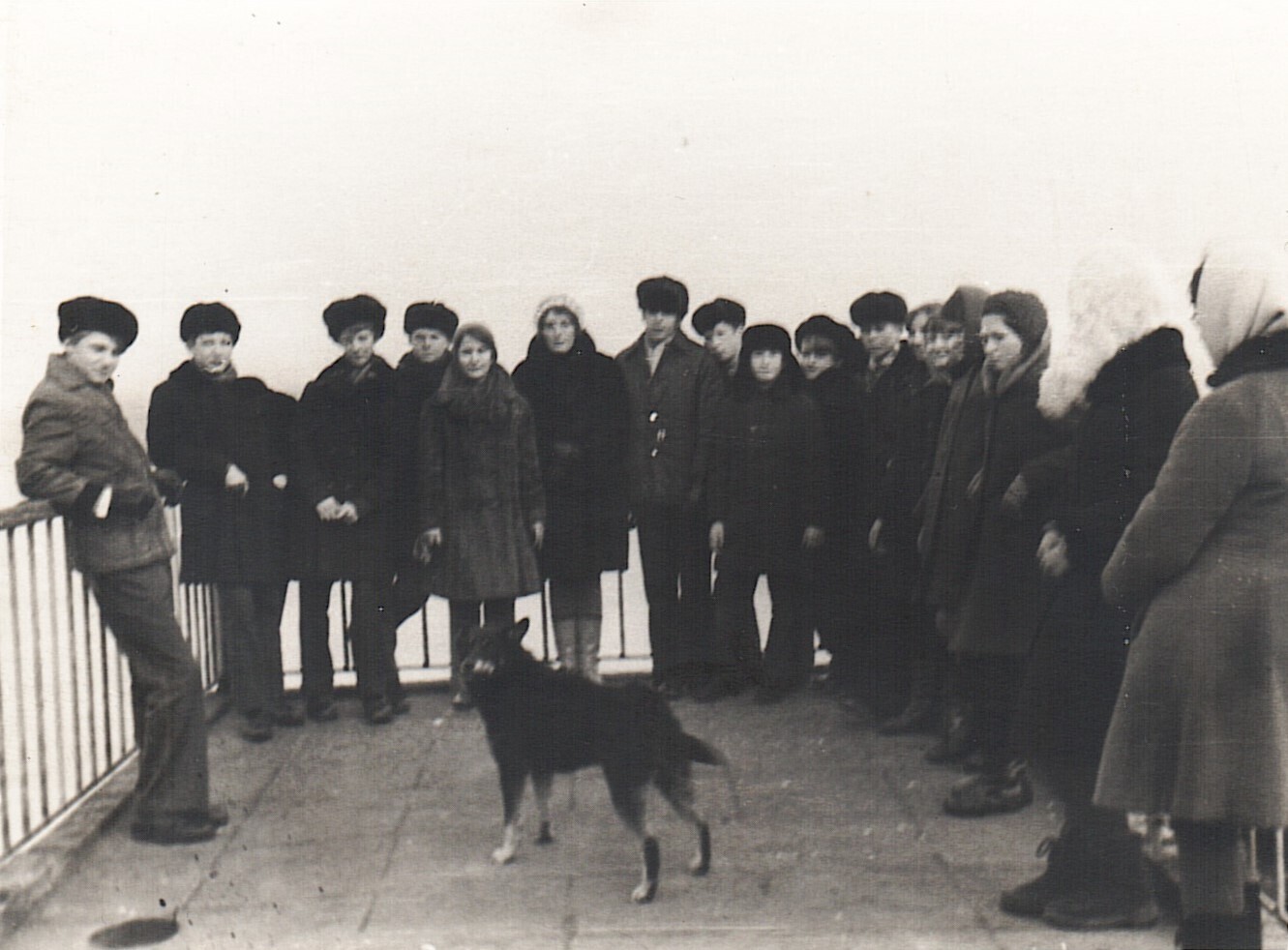 Новогодняя сказка. «МЫШЬ ГОДА»./ 2022 год / Вне конкурсов*/