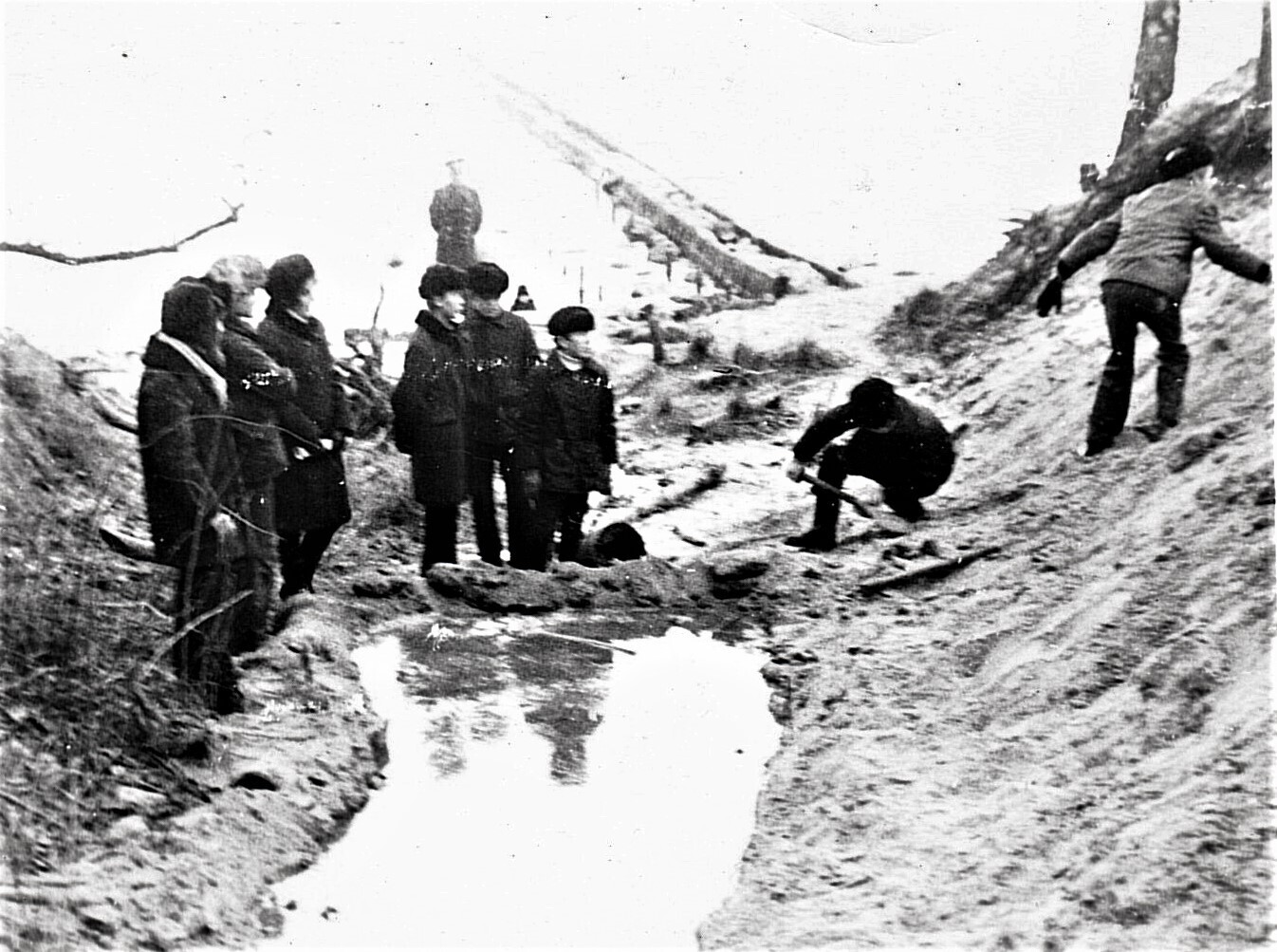 Новогодняя сказка. «МЫШЬ ГОДА»./ 2022 год / Вне конкурсов*/