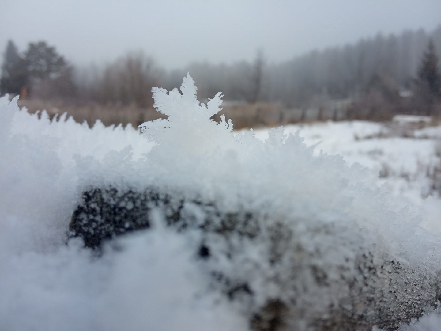 Поэзия замерзающего тумана или необычайные эффекты зимы