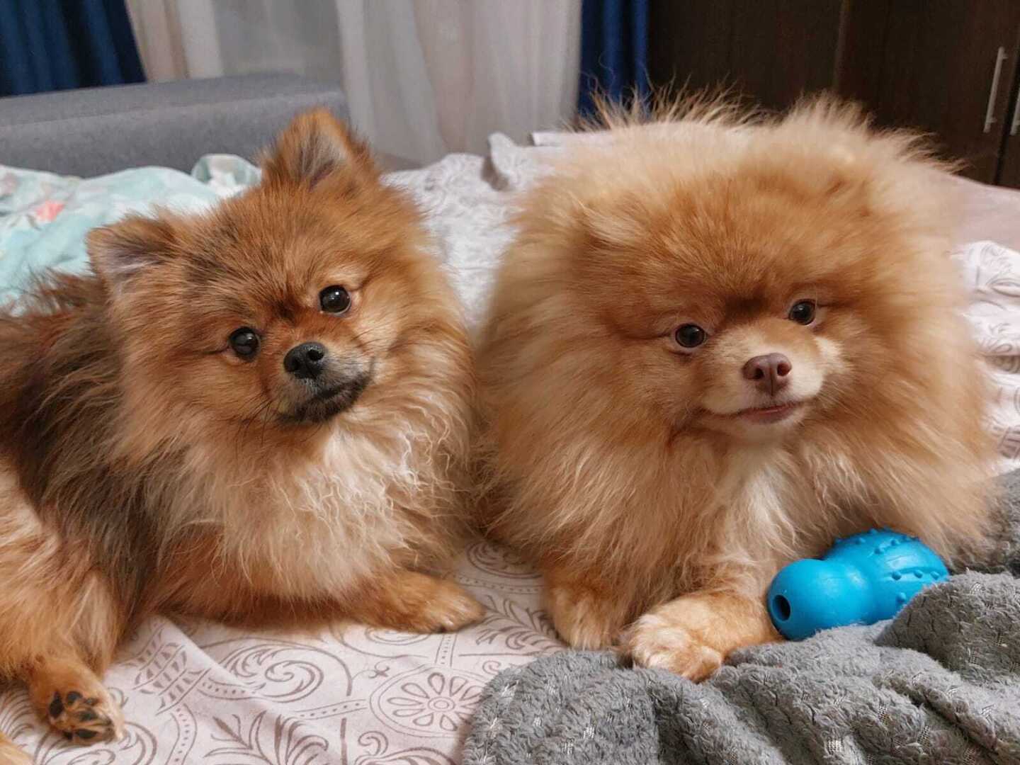 А Вам кто больше понравился ?