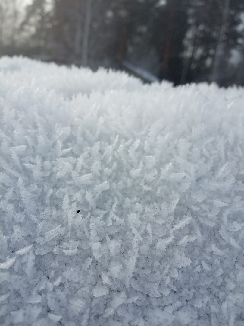 Поэзия замерзающего тумана или необычайные эффекты зимы