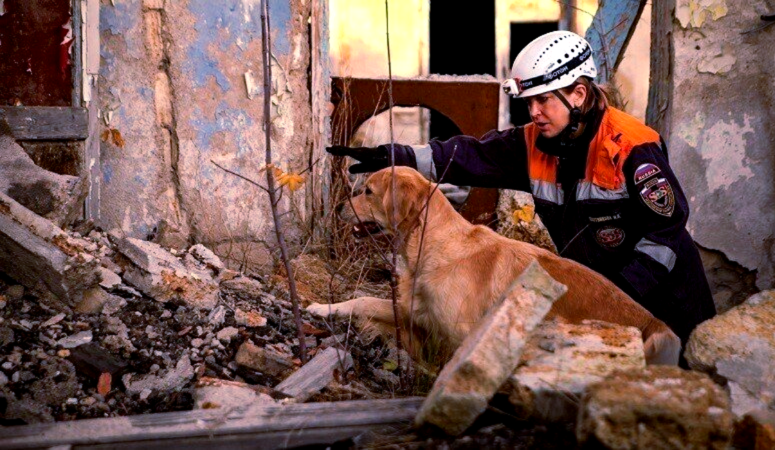 Хвостатый друг - не игрушка, а живая душа и ответственность
