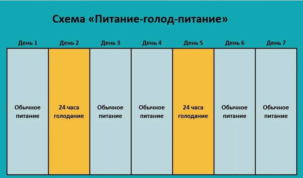 Как питаться на интервальном питании 16 8. Как питаться на интервальном питании 16 8