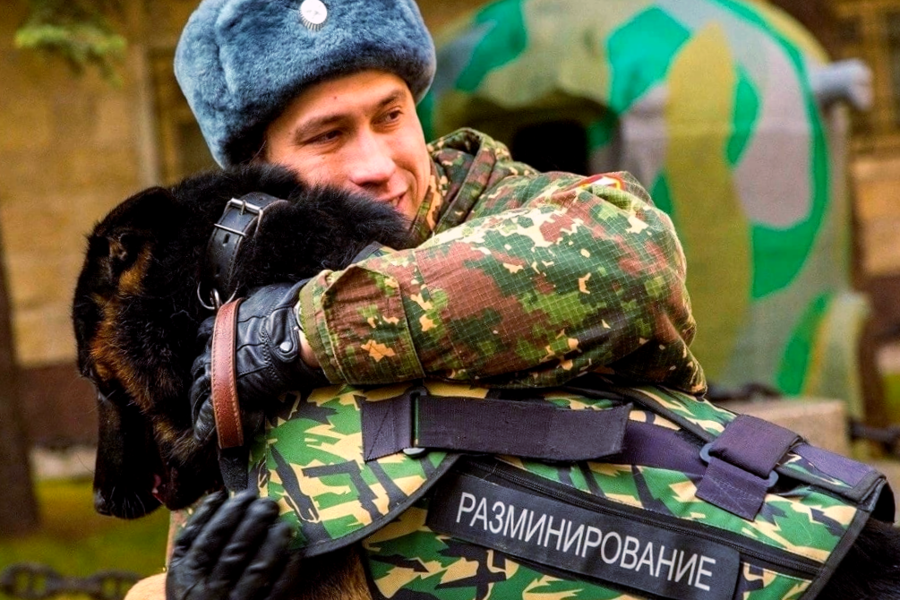 Хвостатый друг - не игрушка, а живая душа и ответственность