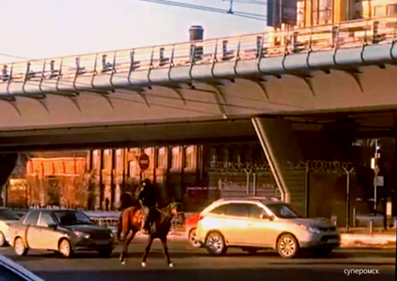 Предсказание от коня