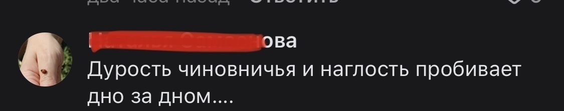 «Украли елку?» Жительница Уфы обвинила чиновников в краже 30-летней елки с участка. Кто виноват?