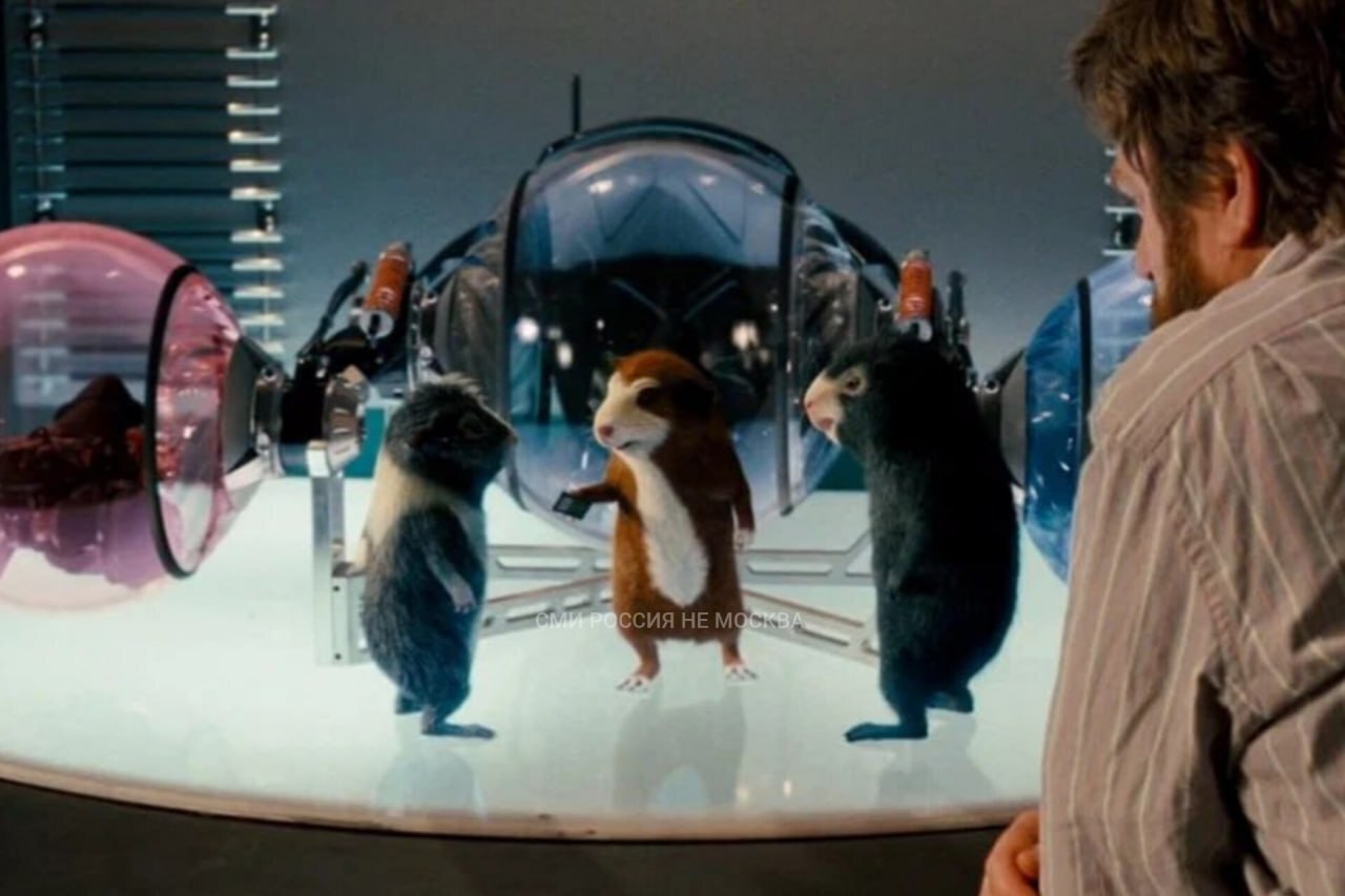 В МГУ хотят подключить питомцев к ИИ, чтобы те общались между собой и, возможно, с человеком