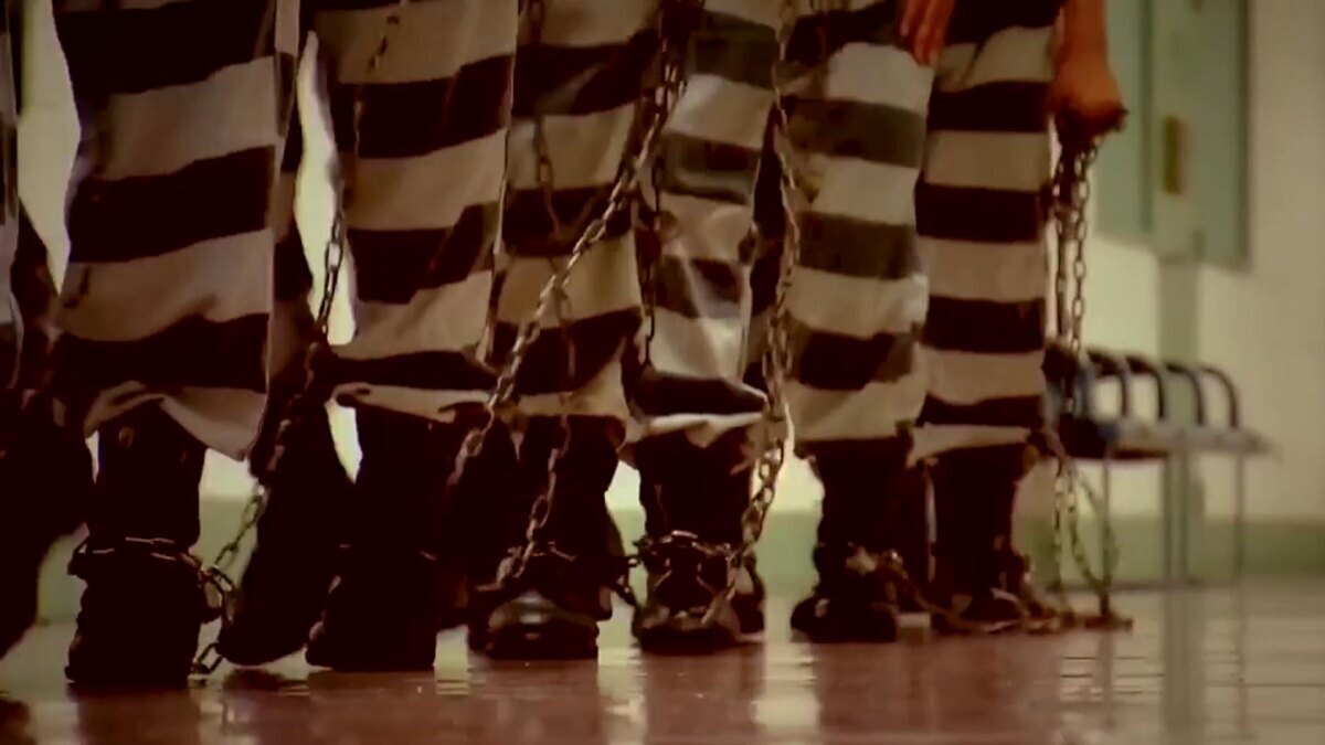 25 лет за убийство ... кактуса!