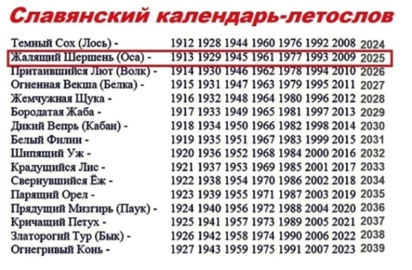 Жалящий Шершень — символ Славянского Нового 2025 года🐝🎄✨