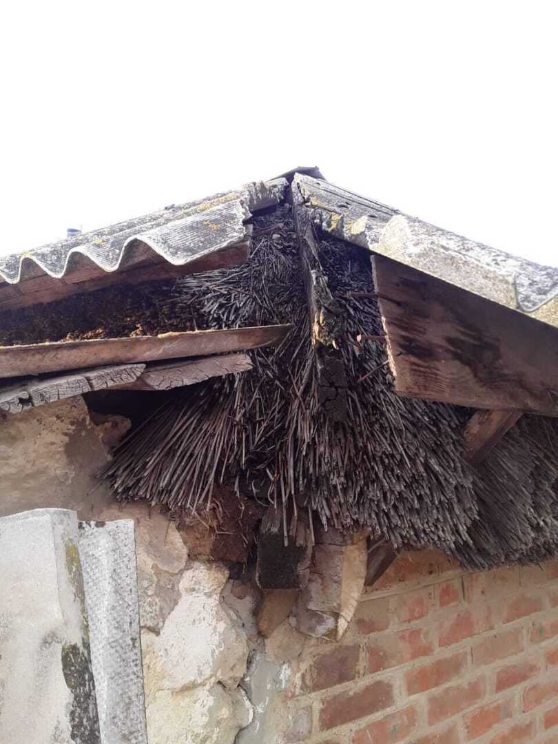 Да я детей не для денег заводил, но это существенная помощь для нашей семьи