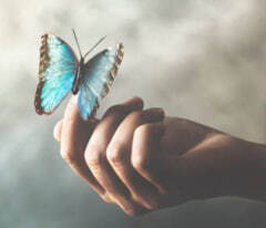 Научиться прислушиваться к отклику от сердца,а не от ума и ЭГО