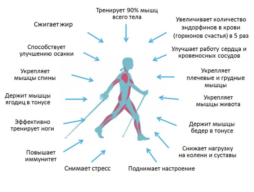 Похудение через прогулки: Как обычная ходьба помогает сжигать калории