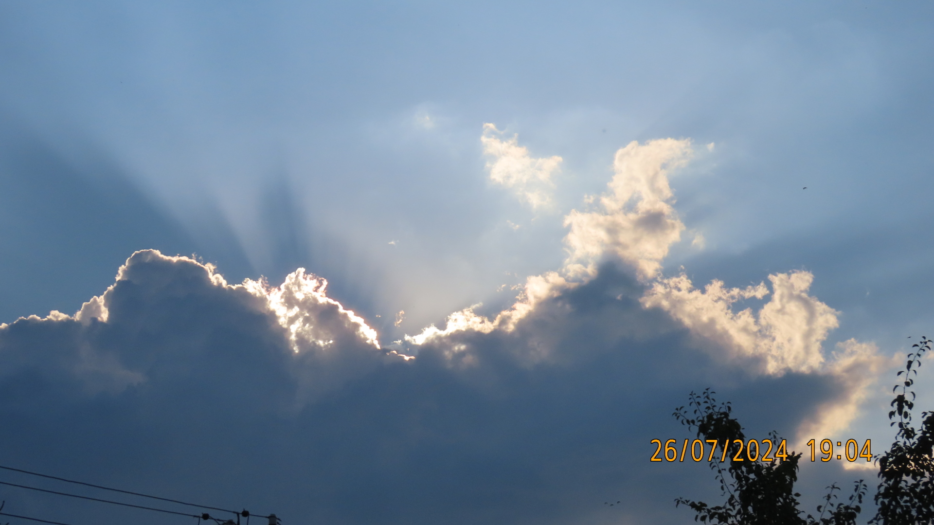 Реплика/Конкурсы./ Из цикла «Мели Емеля — твоя неделя» или «И тут Остапа понесло»/