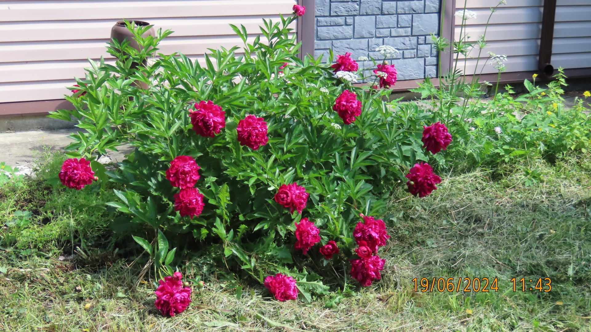 Реплика/Конкурсы./ Из цикла «Мели Емеля — твоя неделя» или «И тут Остапа понесло»/