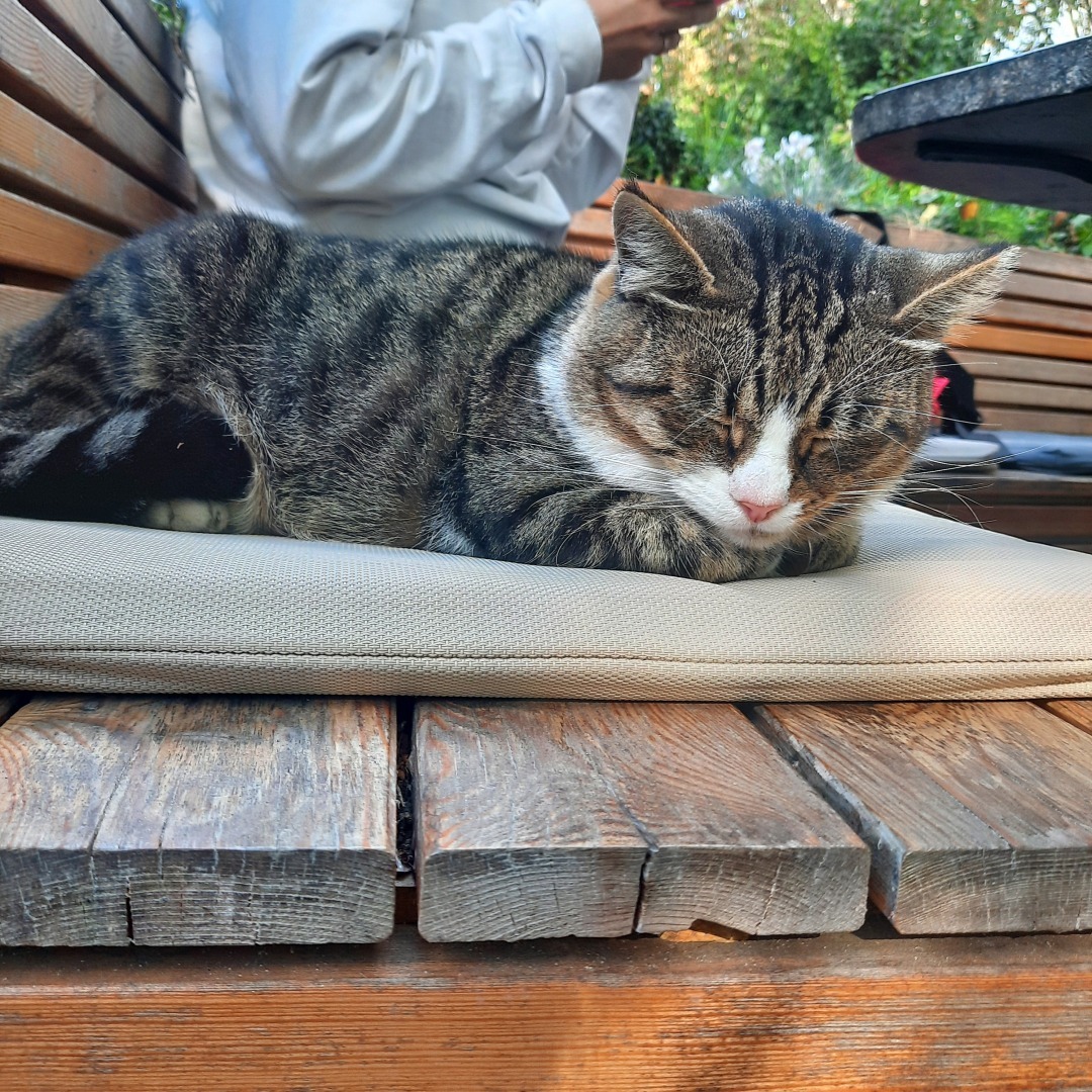 "Психология" во вред. Или каждый может назваться психологом.