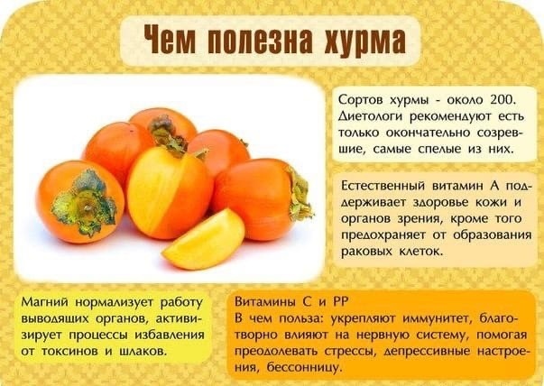 Польза хурмы для здоровья. Богатый набор лечебных свойств!