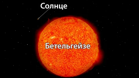 Вот что мы увидим, когда Бетельгейзе станет сверхновой