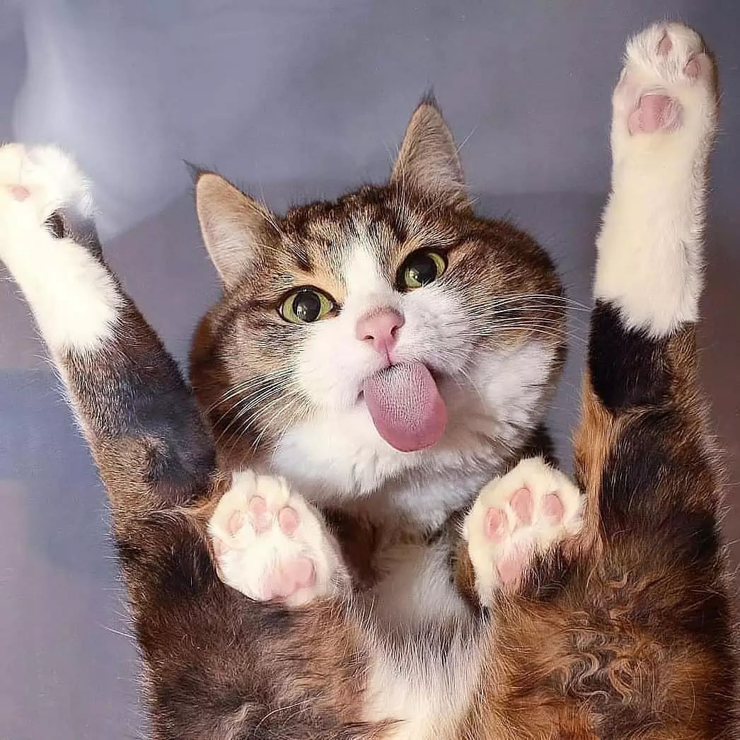 Самые смешные истории и анекдоты дня!