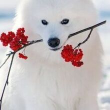 Анастасия, г. Новосибирск