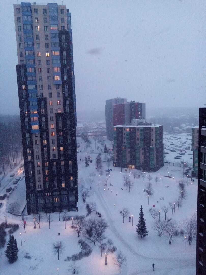 Мои размышления о человеческом свинстве или «сюрприз» не для слабонервных