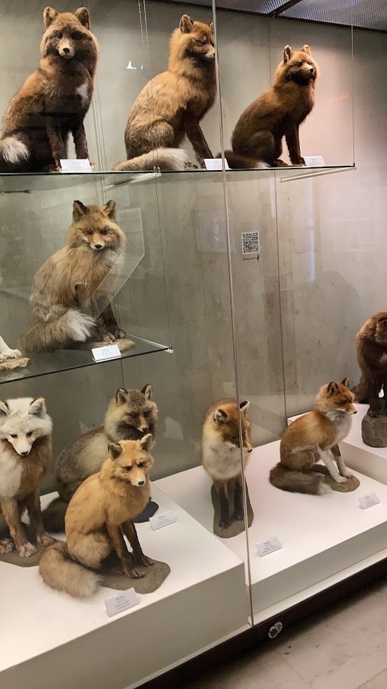 Дарвиновский музей в столице! Рекомендую посетить, даже если вы, как и я, не фанат музеев)