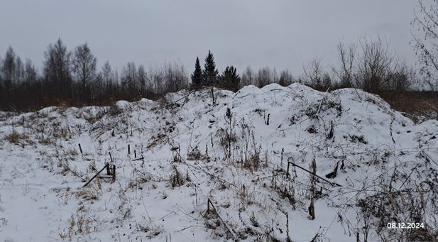 Борщевик и штраф за него. Продолжение истории