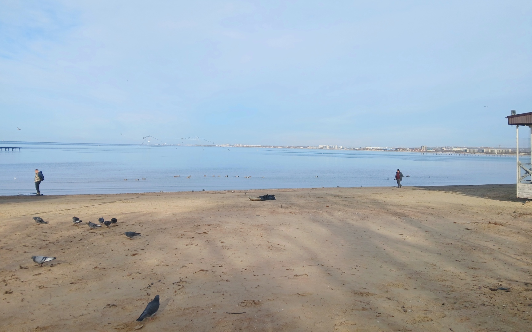 Репортаж с Черноморского побережья: как Анапа борется с экологическим бедствием. Боль, трудности и последствия ЧП