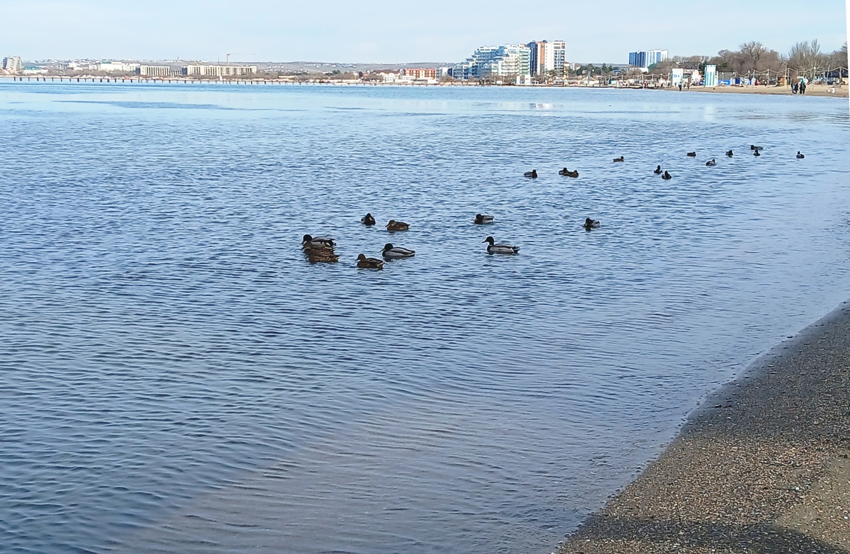 Репортаж с Черноморского побережья: как Анапа борется с экологическим бедствием. Боль, трудности и последствия ЧП