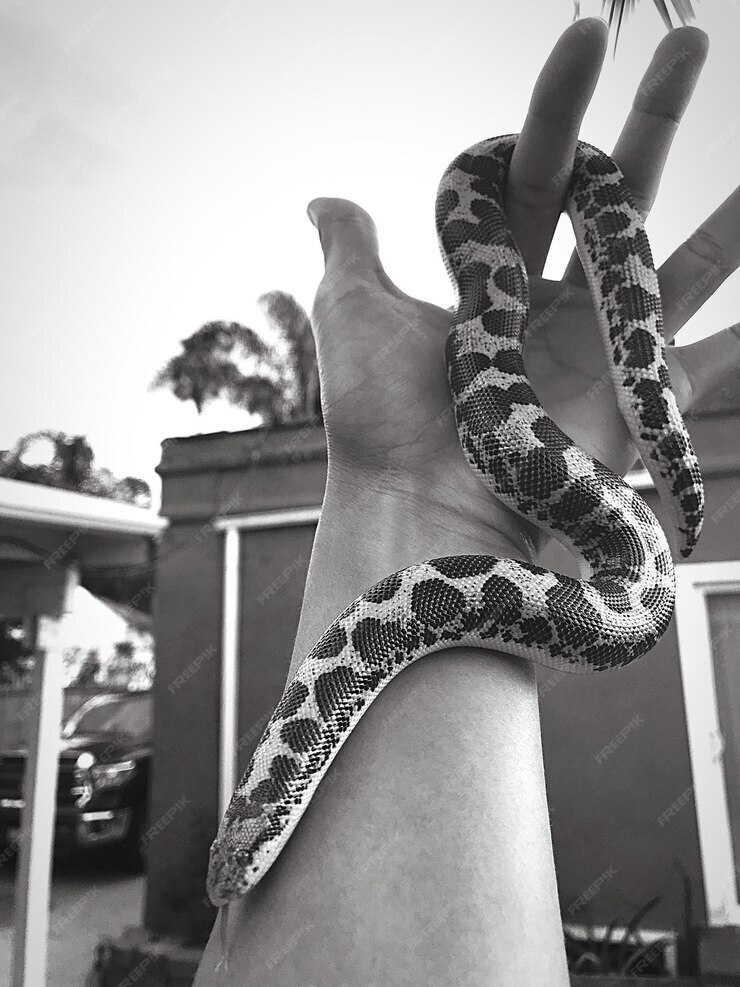 Ваш праздничный образ в год змеи