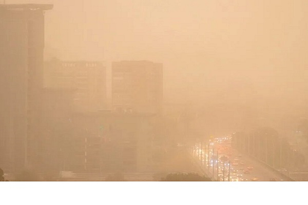 Неужели эта дурацкая песчаная буря закончилась? Конец сентября 2024 года. Ростовская область. Наверное, помогли дожди....