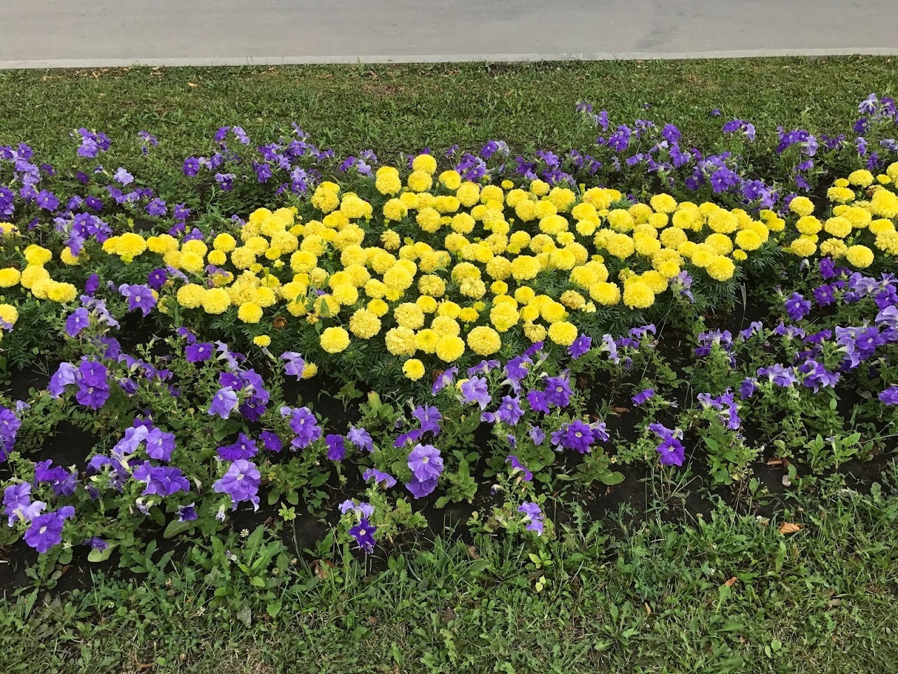 Ах, Самара-городок! Давайте прогуляемся по набережной этого замечательного города!